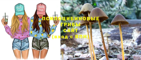 эйфоретик Тутаев